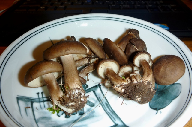 20121008_26.jpg