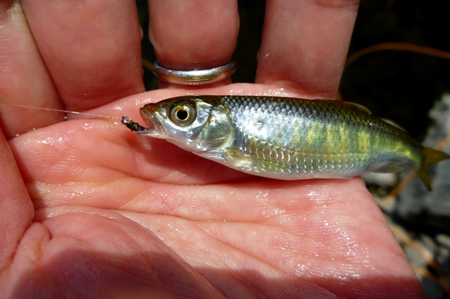 20121013_07.jpg