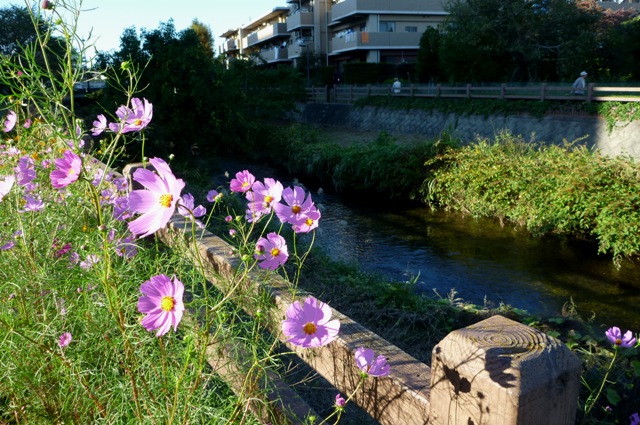 20121019_02.jpg