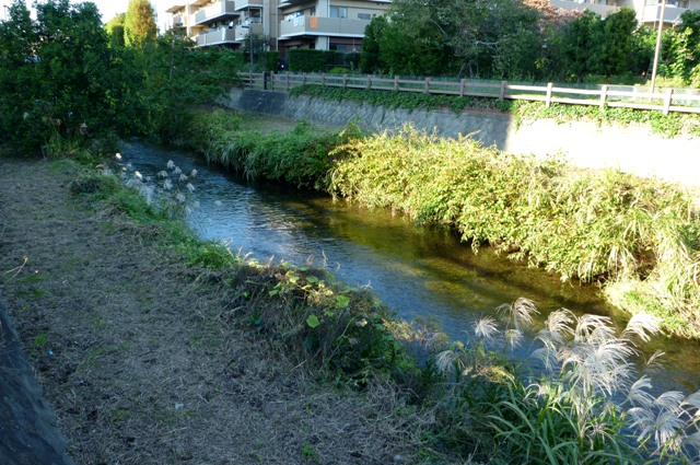 20121019_04.jpg