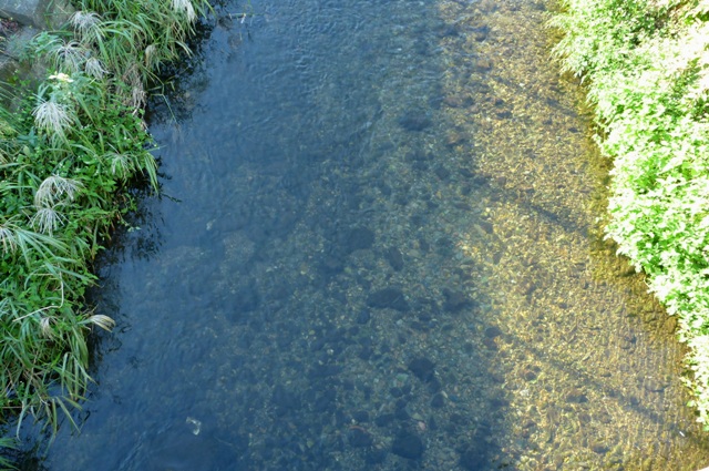 20121019_05.jpg