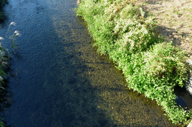 20121019_06.jpg