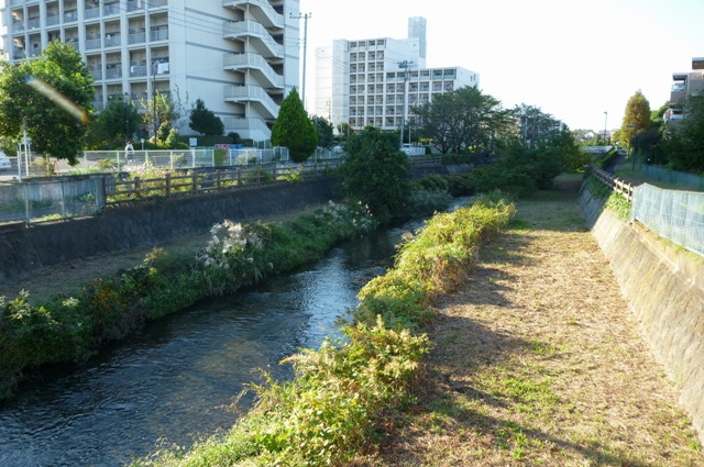 20121019_07.jpg