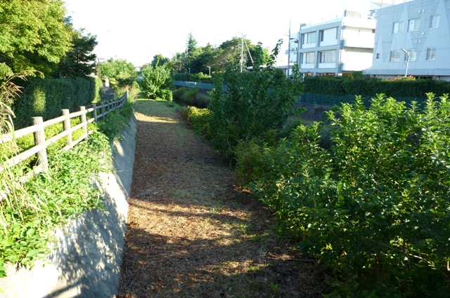 20121019_08.jpg