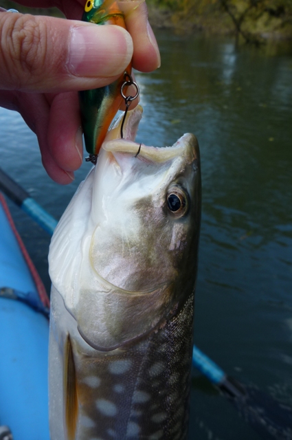 20121021_07.jpg