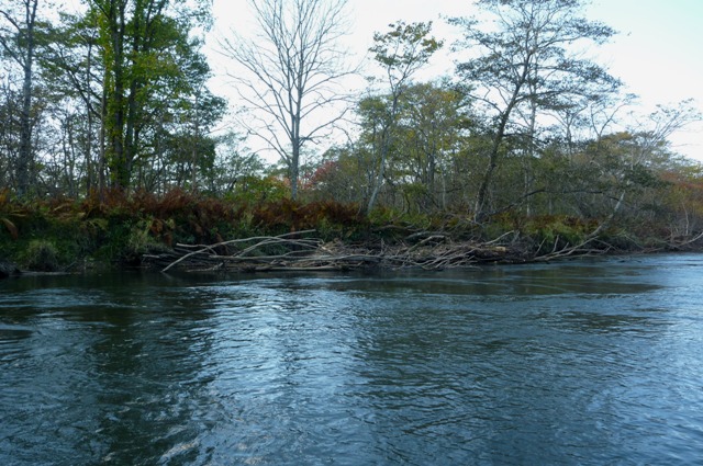 20121021_09.jpg