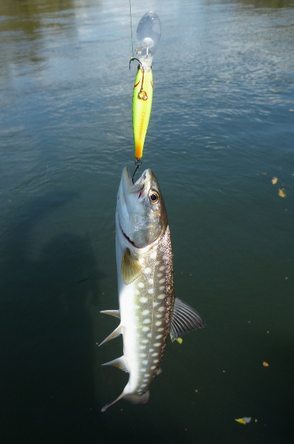 20121021_11.jpg