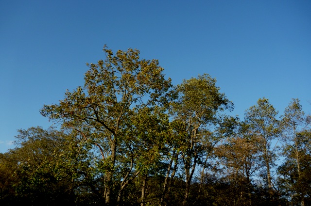 20121021_25.jpg
