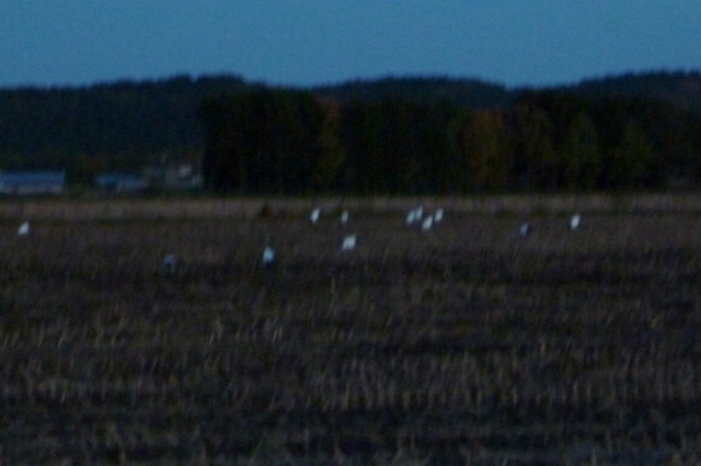 20121021_27.jpg