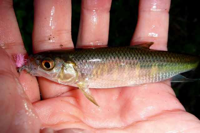 20121027_4.jpg