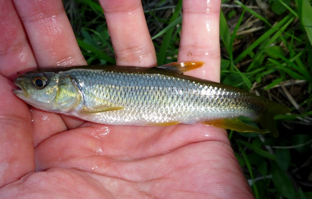 20121027_5.jpg
