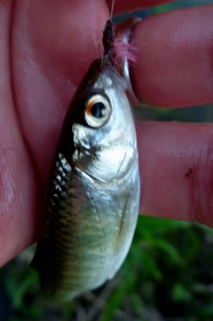 20121027_6.jpg