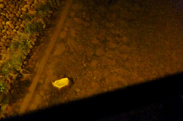 20121101_02.jpg