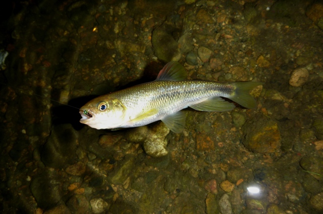20121110_04.jpg