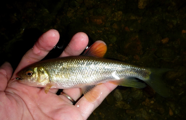 20121110_05.jpg