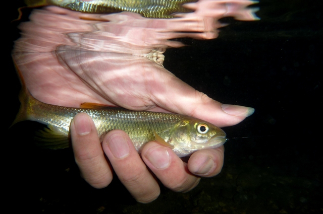 20121110_07.jpg