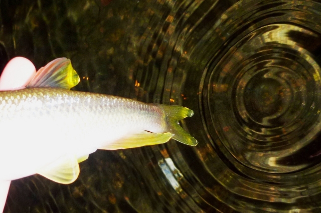 20121110_08.jpg