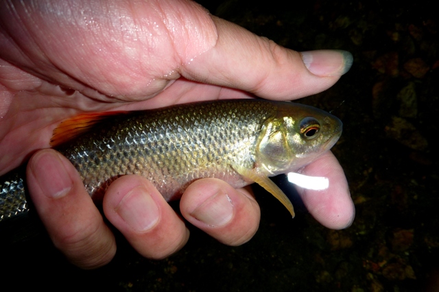 20121110_09.jpg