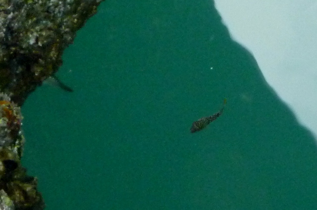 20121124_4.jpg