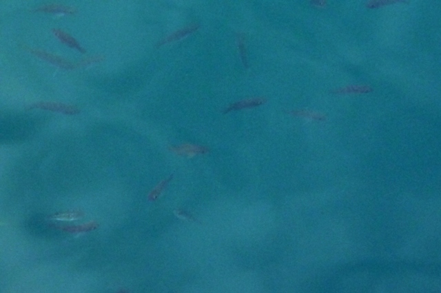 20121124_5.jpg
