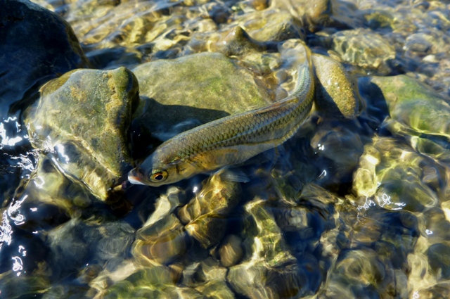 20121125_04.jpg