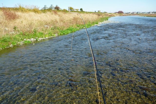 20121125_05.jpg