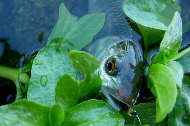 20121125_06.jpg