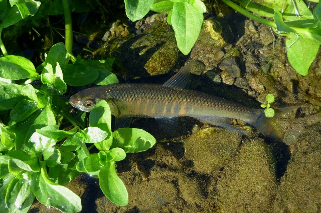 20121125_07.jpg