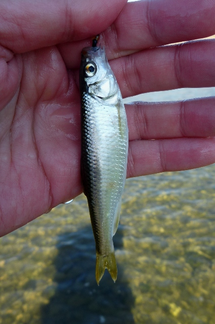 20121125_10.jpg