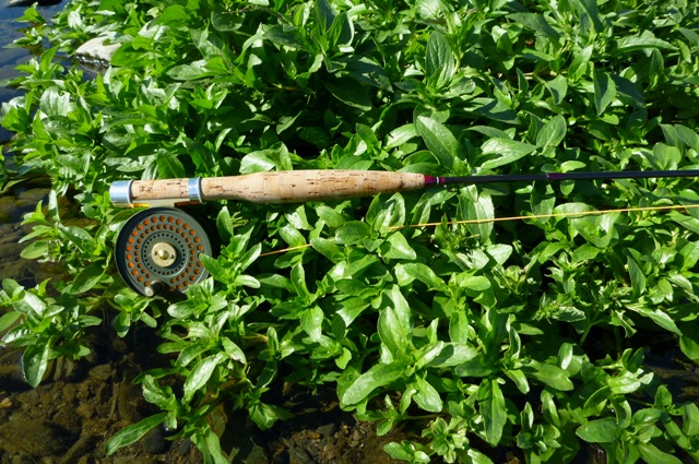 20121125_12.jpg