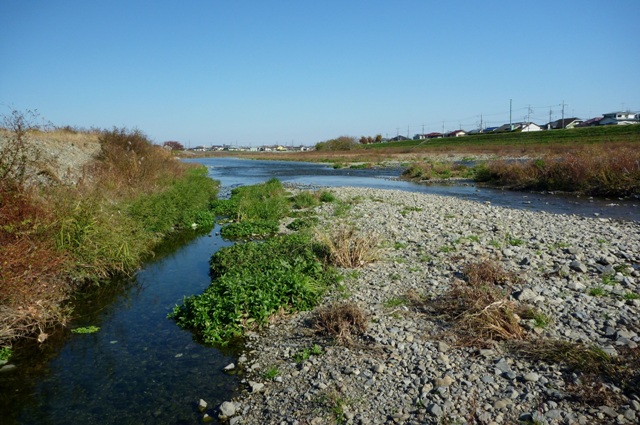 20121125_17.jpg