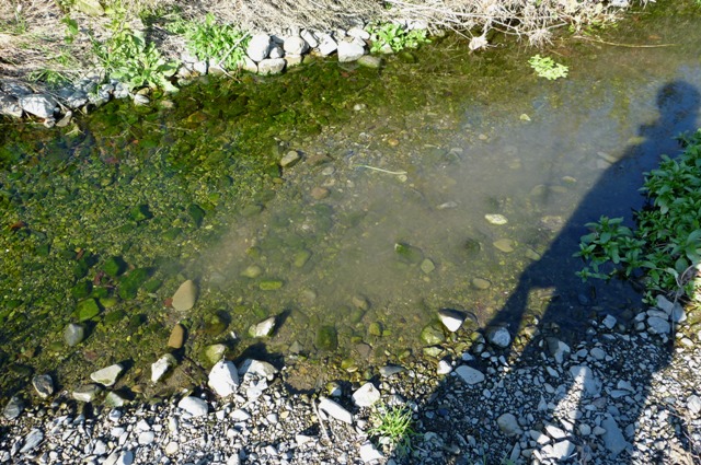 20121125_18.jpg