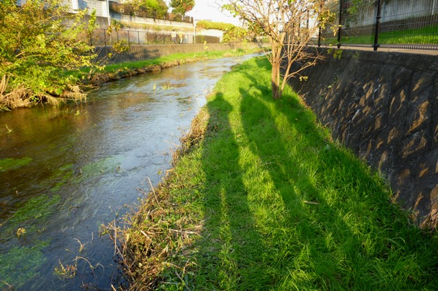 20121125_19_Oikawa_Mtg.jpg