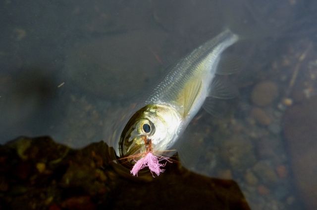 20121125_O_1.jpg