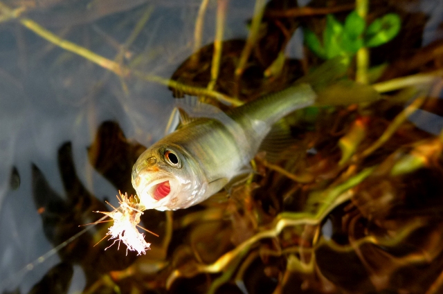 20121125_O_3.jpg