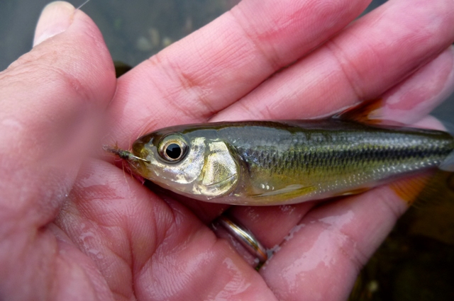 20121125_O_4.jpg