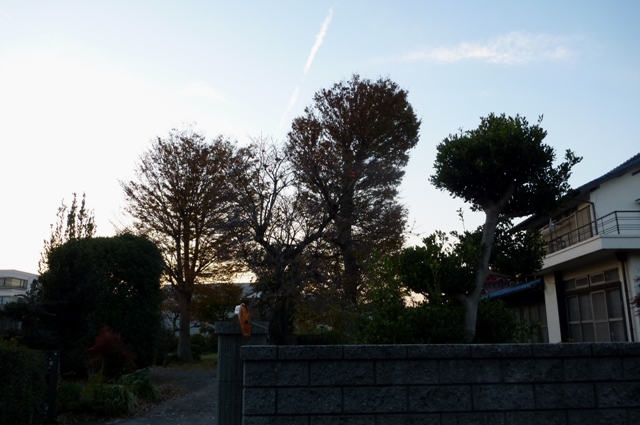 20121125_O_9.jpg