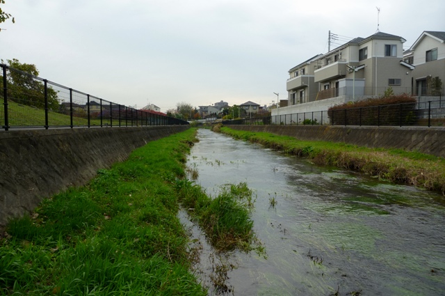 20121129_00.jpg