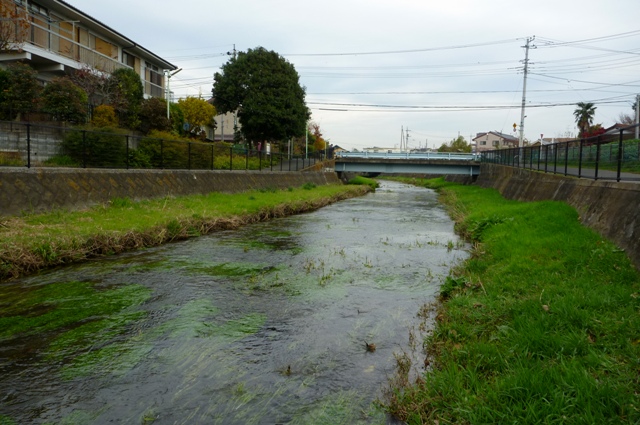 20121129_01.jpg