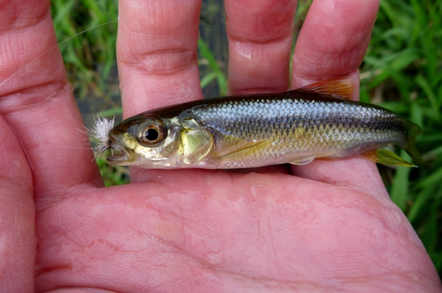 20121129_02.jpg