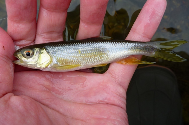 20121129_03.jpg