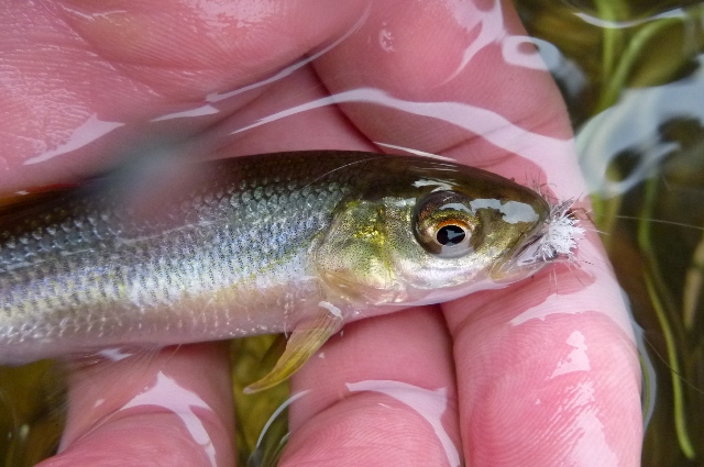 20121129_05.jpg