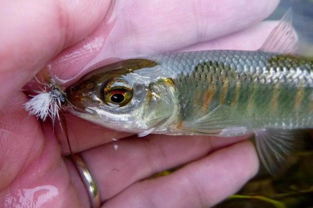 20121129_06.jpg