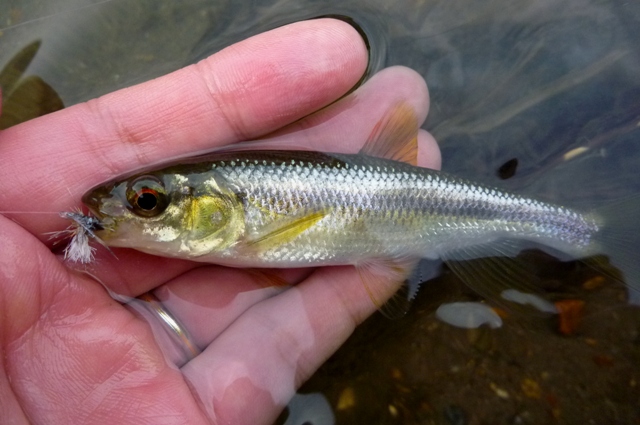 20121129_07.jpg