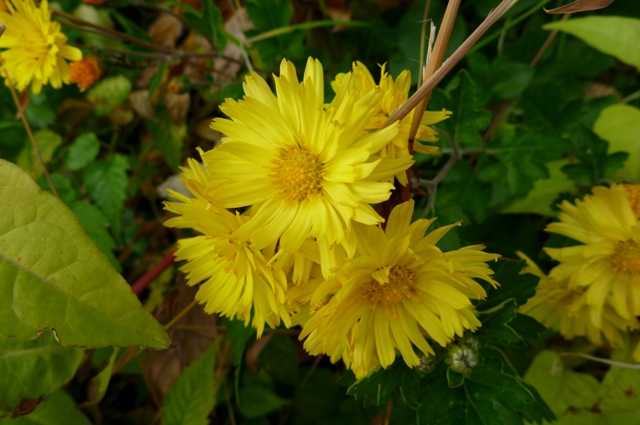 20121129_15.jpg