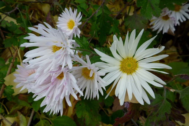 20121129_16.jpg
