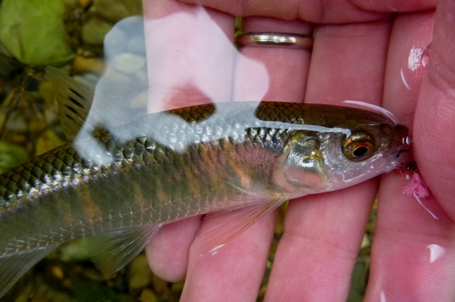 20121201_08.jpg