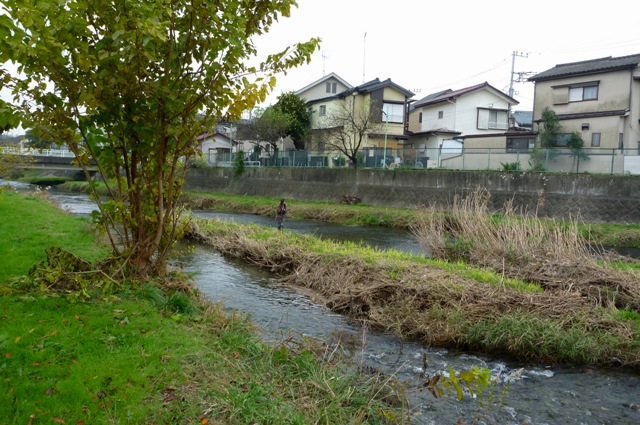 20121201_09.jpg