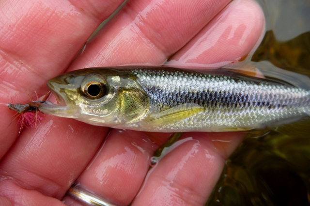 20121201_14.jpg