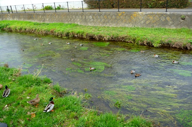 20121201_16.jpg